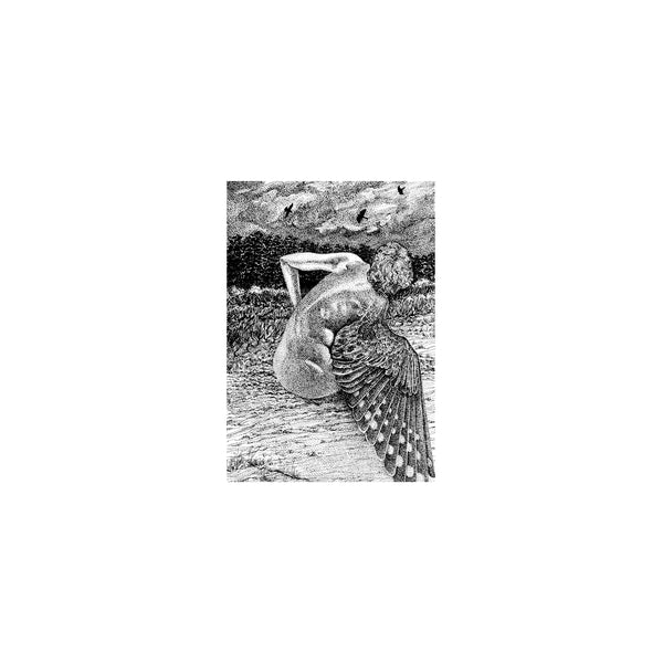 For The Birds [LP]