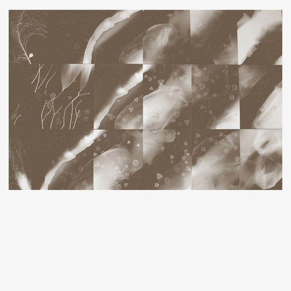 For A Moment The Sky Knew My Name [CD]
