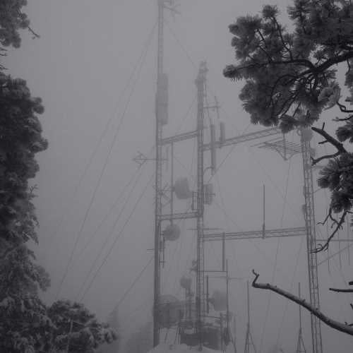On Hold [LP]