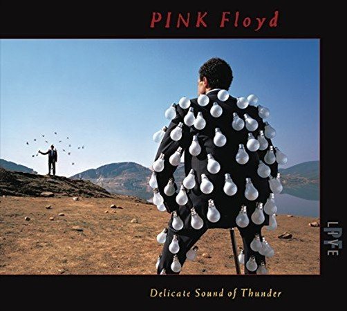 DELICATE SOUND OF THUNDER (LIVE)