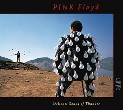 DELICATE SOUND OF THUNDER (LIVE)