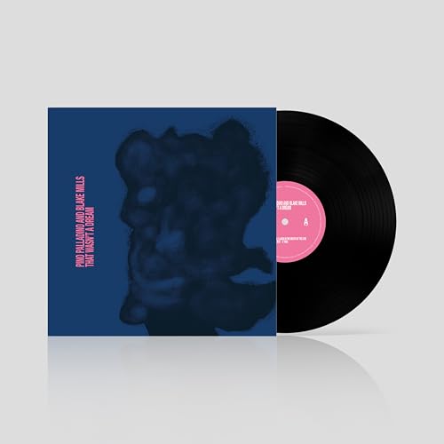 That Wasn'T A Dream [Lp]