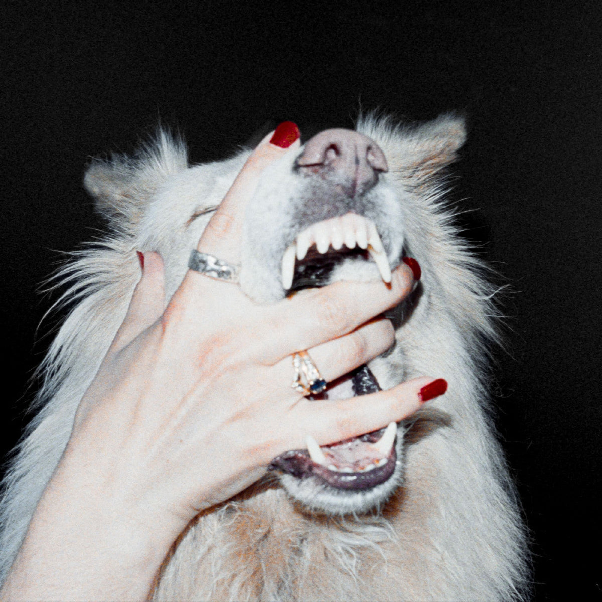 Hush [LP]