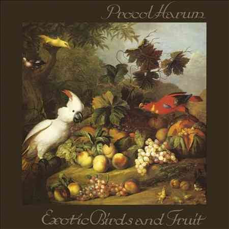 EXOTIC BIRDS & FRUIT