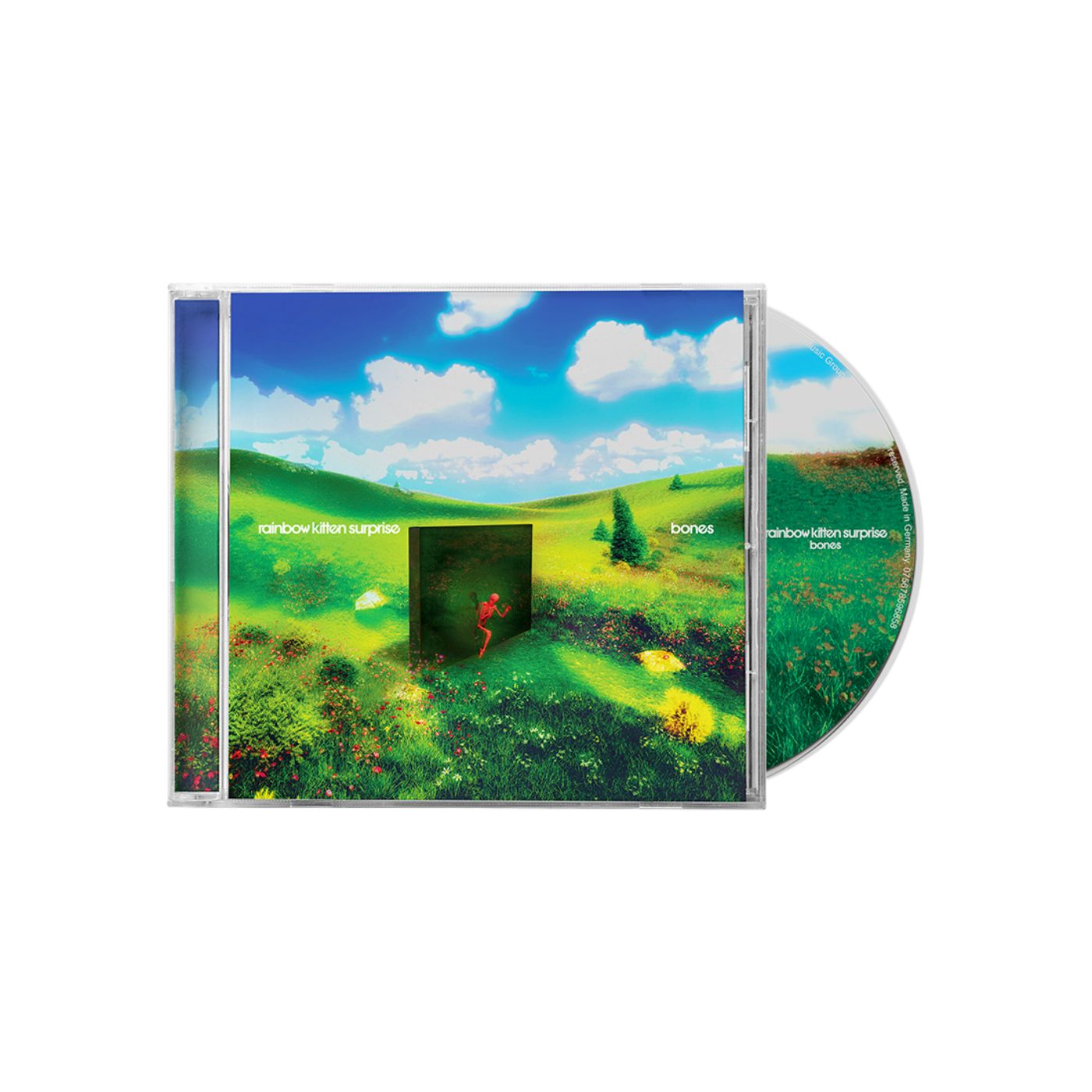 Rainbow Kitten Surprise bones CD cover