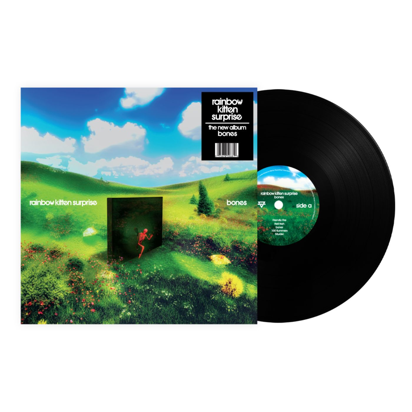 Rainbow Kitten Surprise bones standard black LP vinyl cover