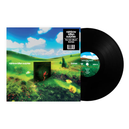 Rainbow Kitten Surprise bones standard black LP vinyl cover