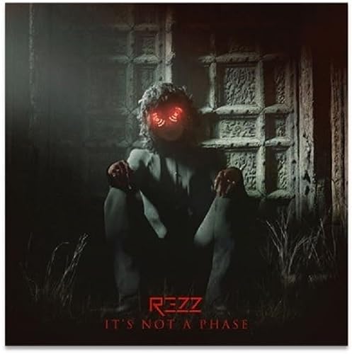 IT'S NOT A PHASE [LP]