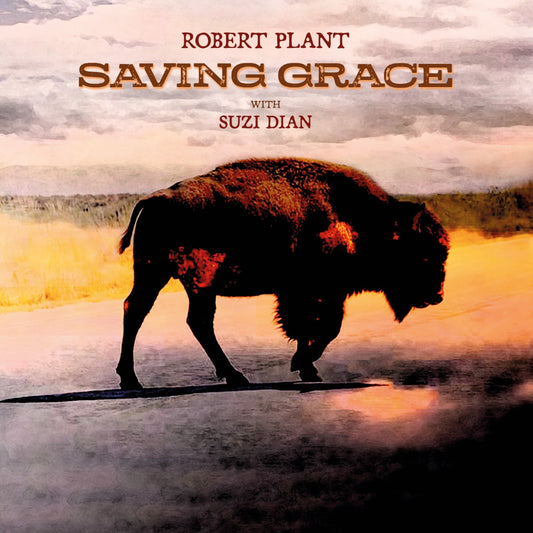 Saving Grace (Indie Exclusive) (Fruit Punch Vinyl)