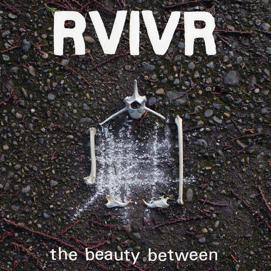 The Beauty Between [Black/Clear Vinyl]