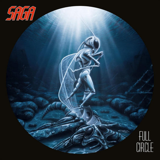 Full Circle (Remastered, 180 Gram Vinyl)