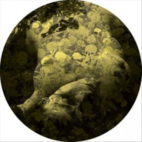 Yellobone - 12