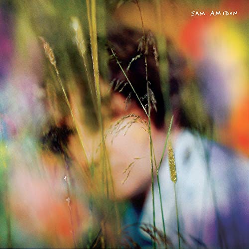Sam Amidon Sam Amidon (Blueberry Marble)