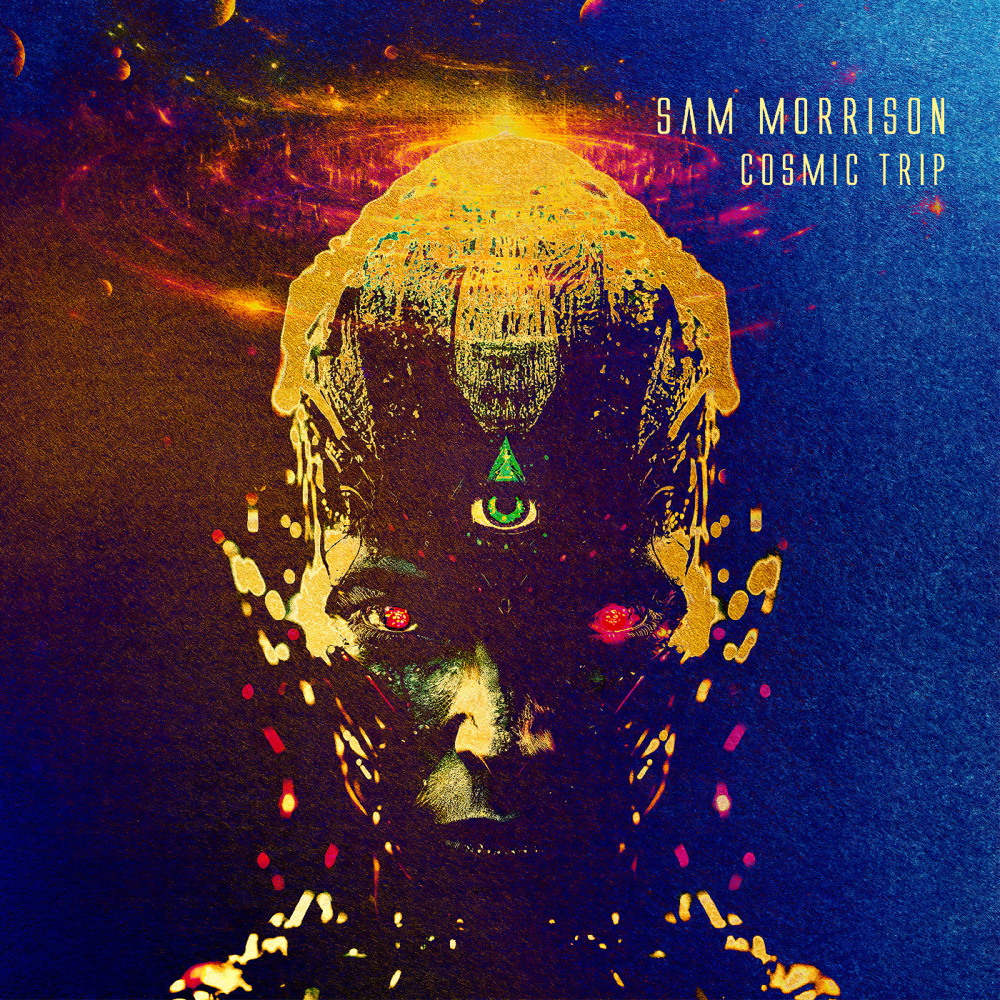 Cosmic Trip