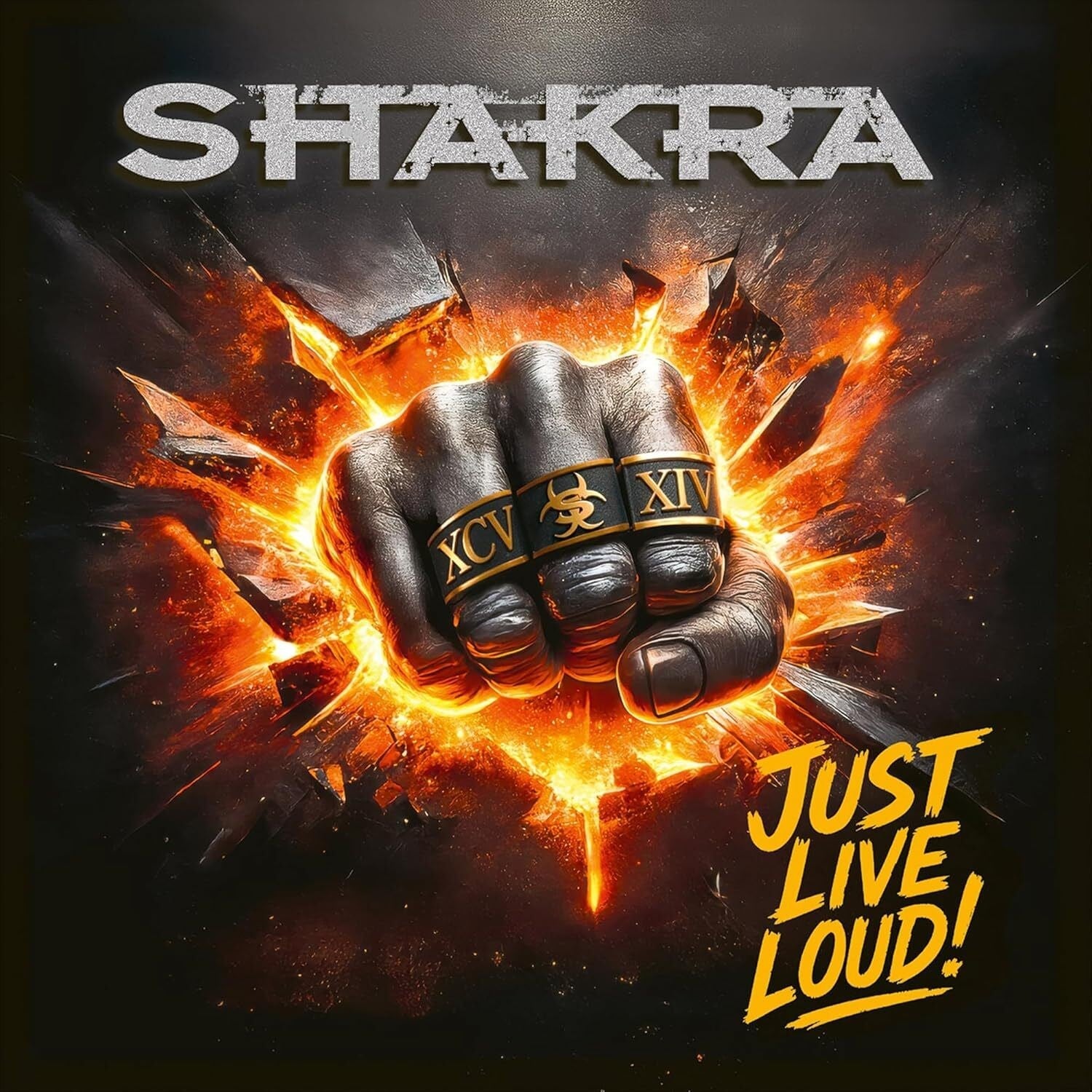 Just Live Loud! [Black Vinyl]