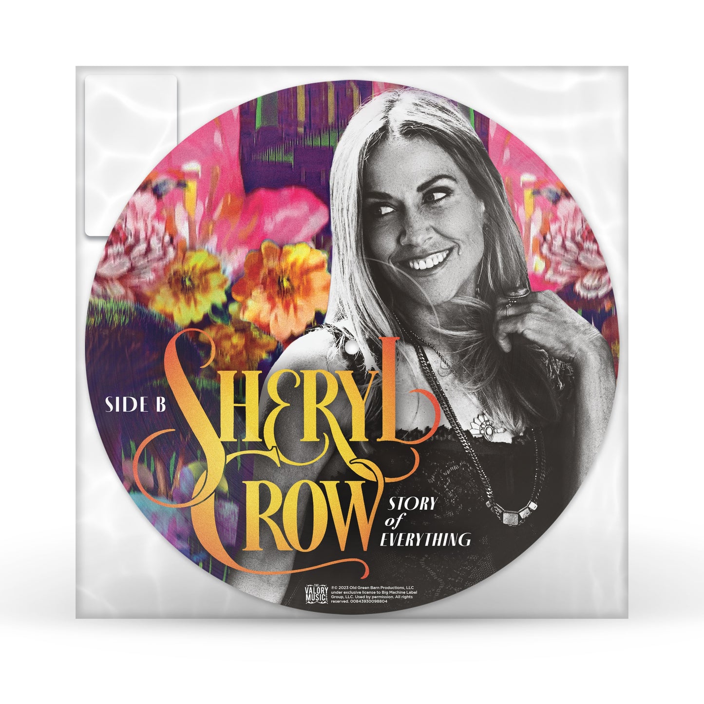 Story Of Everything [Picture Disc LP]