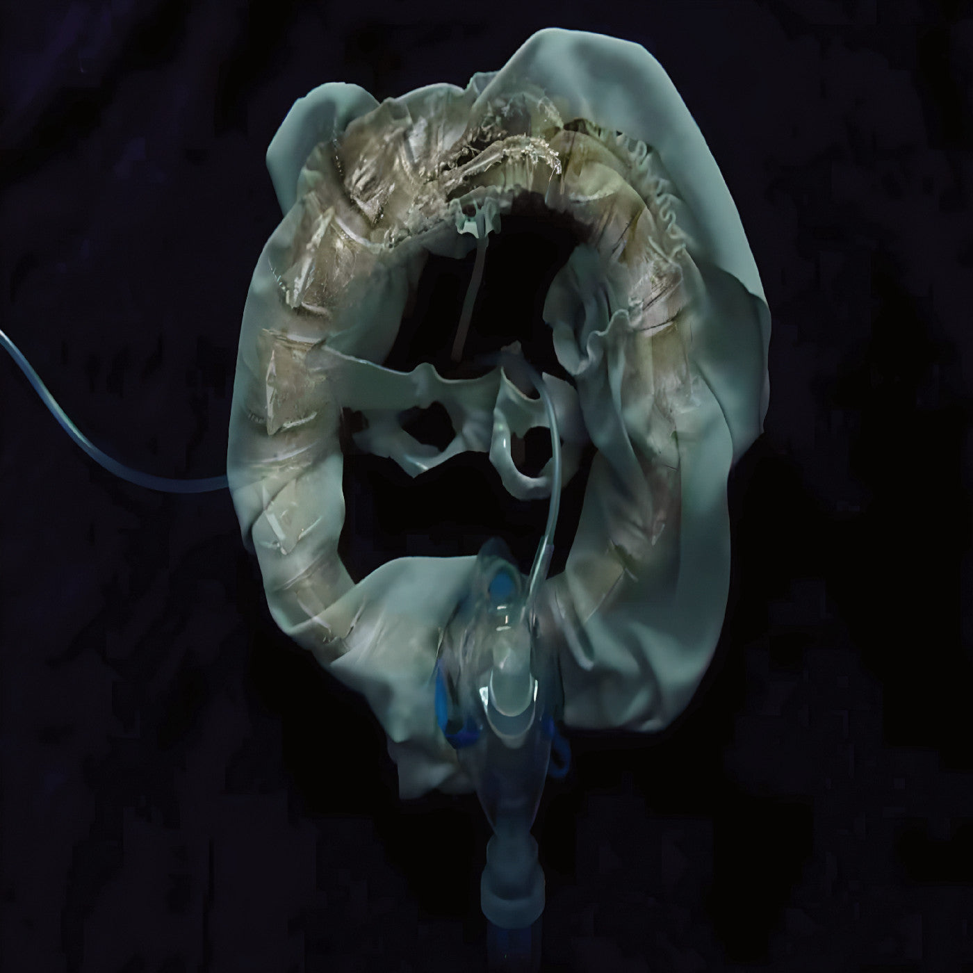 Initiatrix