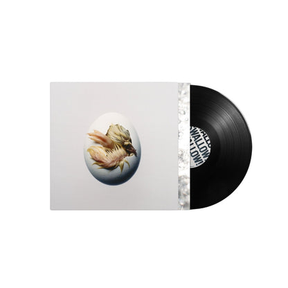 Shygirl SWALLOW black vinyl LP