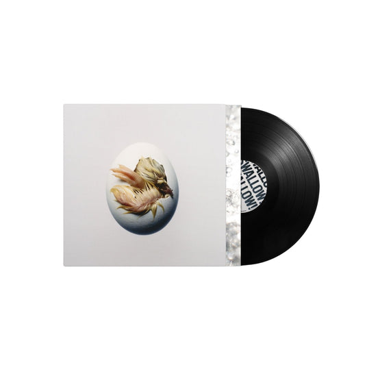 Shygirl SWALLOW black vinyl LP
