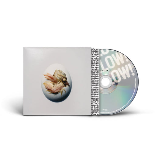 Shygirl SWALLOW CD album