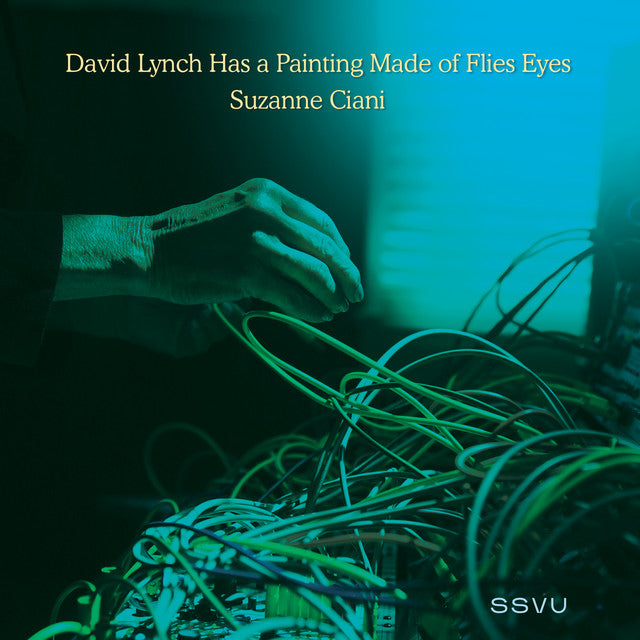 SSVU David Lynch Has a Painting Made of Flies Eyes Suzanne Ciani RSD Black Friday 2022 7 inch vinyl