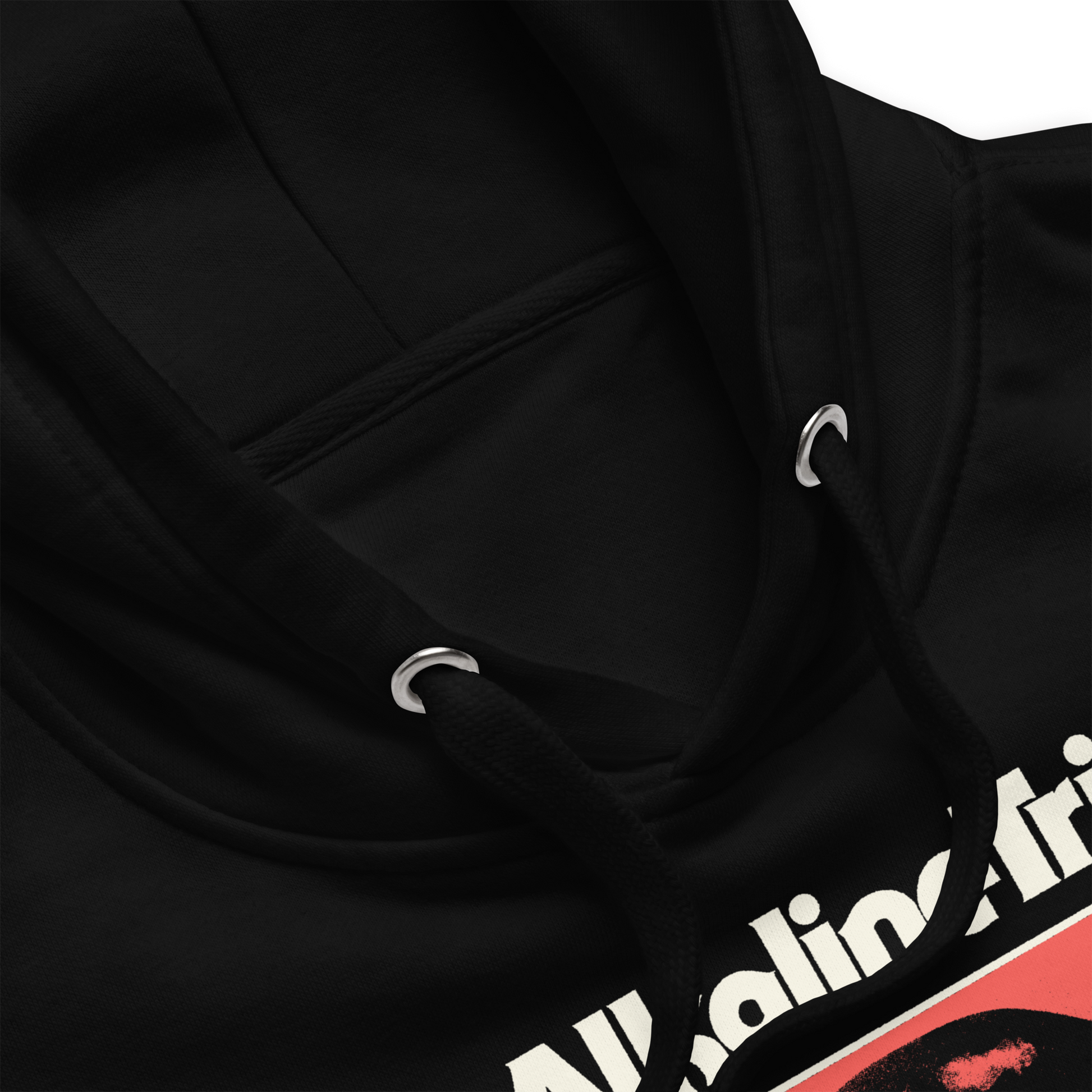 Alkaline Trio Restricted Hoodie Black