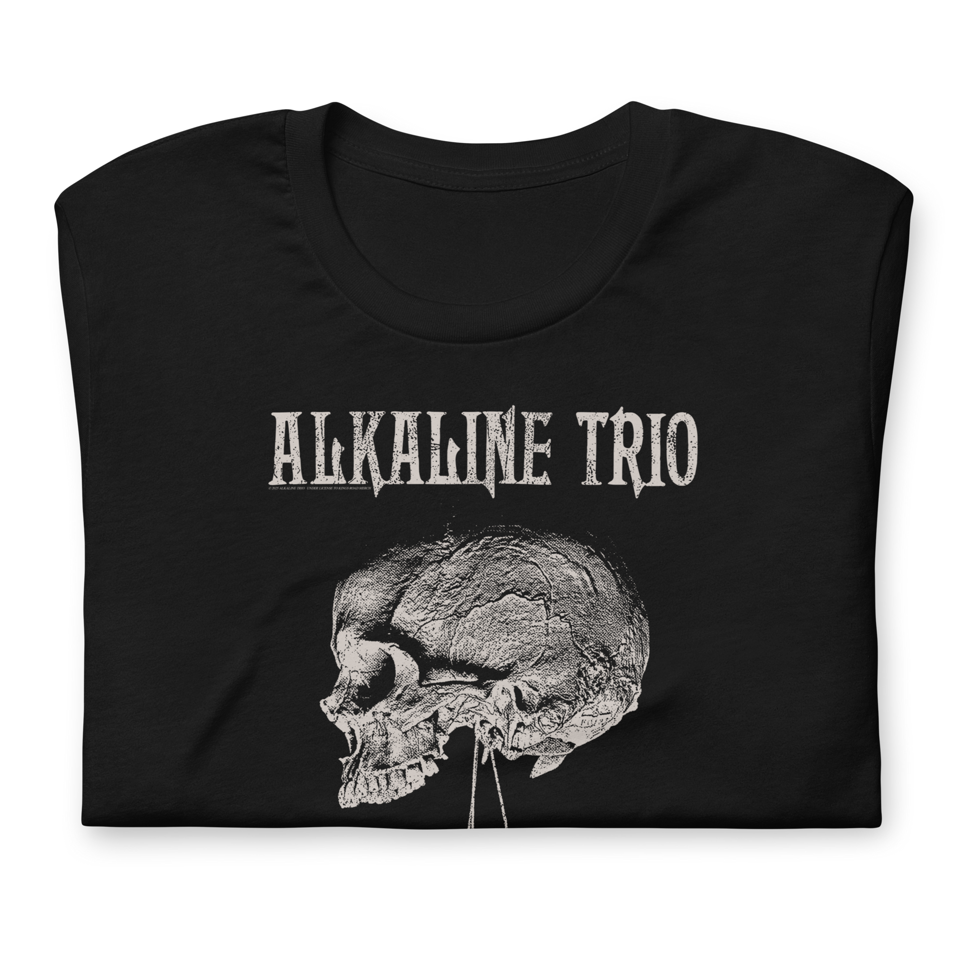 Alkaline Trio Roses Blooming T-Shirt Black