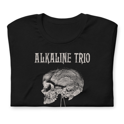 Alkaline Trio Roses Blooming T-Shirt Black