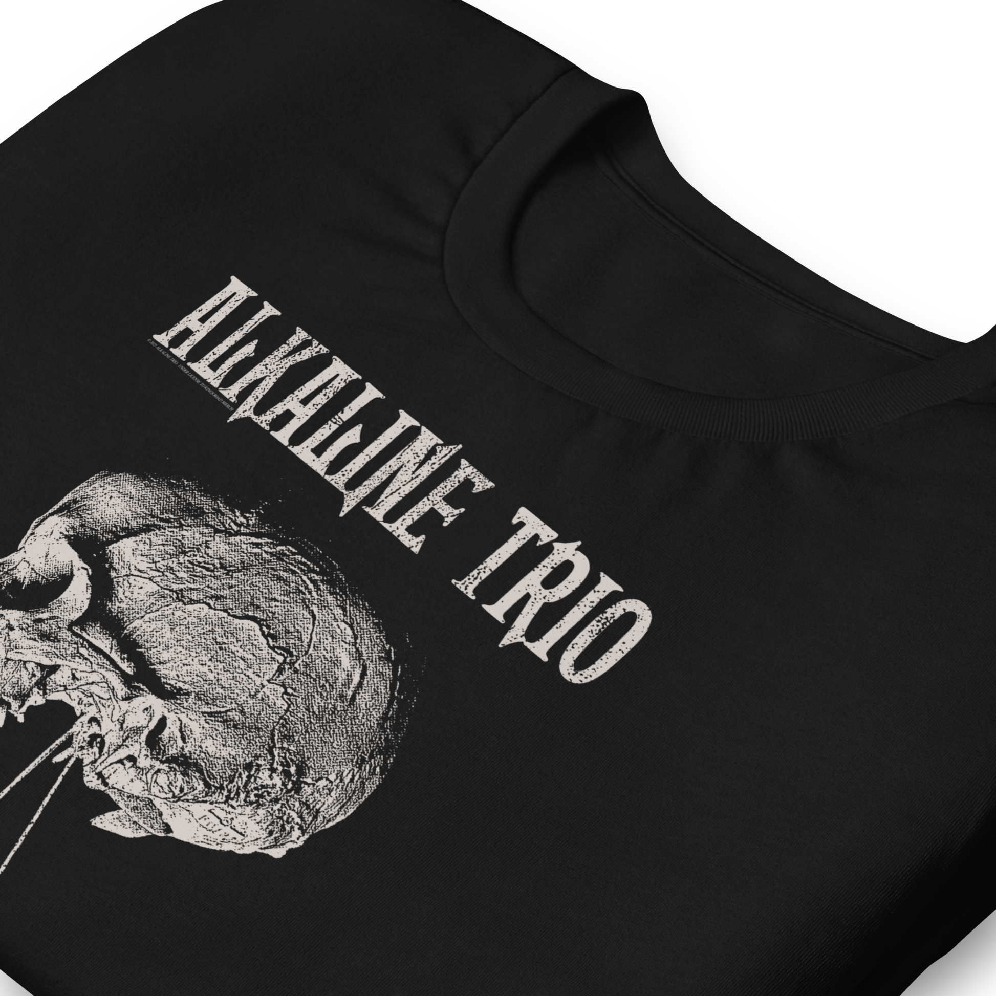 Alkaline Trio Roses Blooming T-Shirt Black