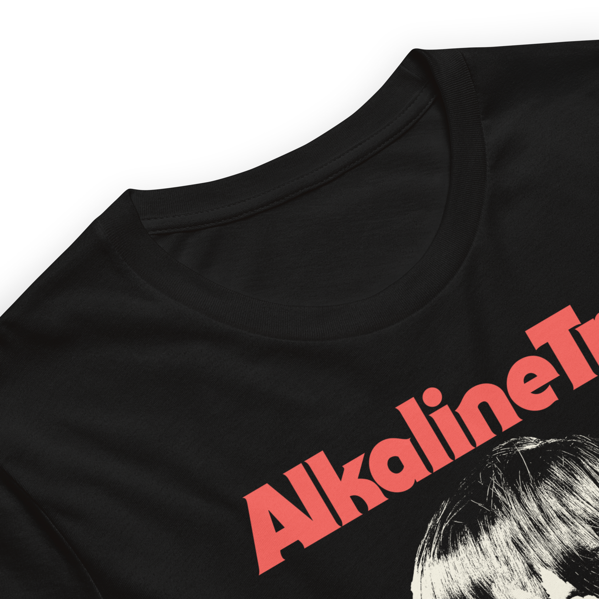Alkaline Trio Wig Skull T-Shirt Black