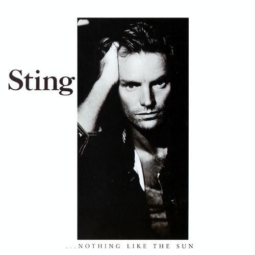 Nothing Like The Sun [2LP]