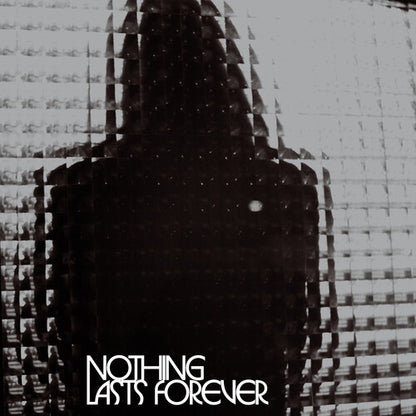 Nothing Lasts Forever (Indie Exclusive, Colored Vinyl, Indie Exclusive, Limited Edition, Silver)