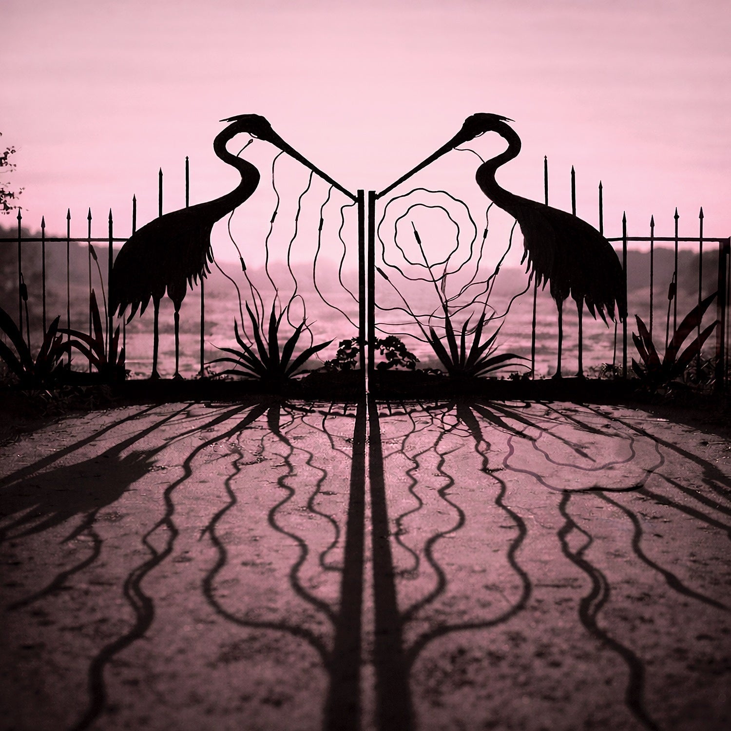 Soft Control [LP]