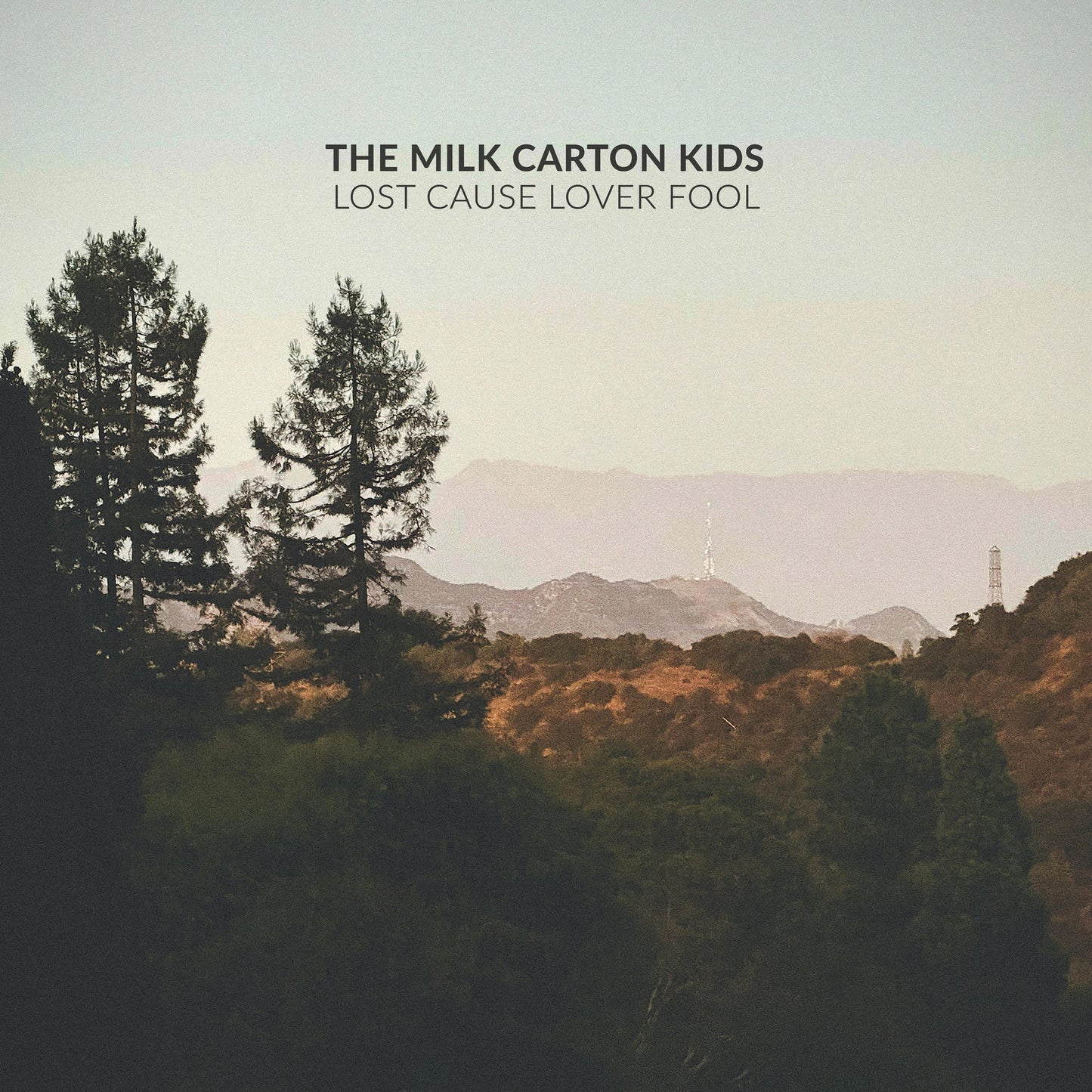 Lost Cause Lover Fool [Standard Black Vinyl]