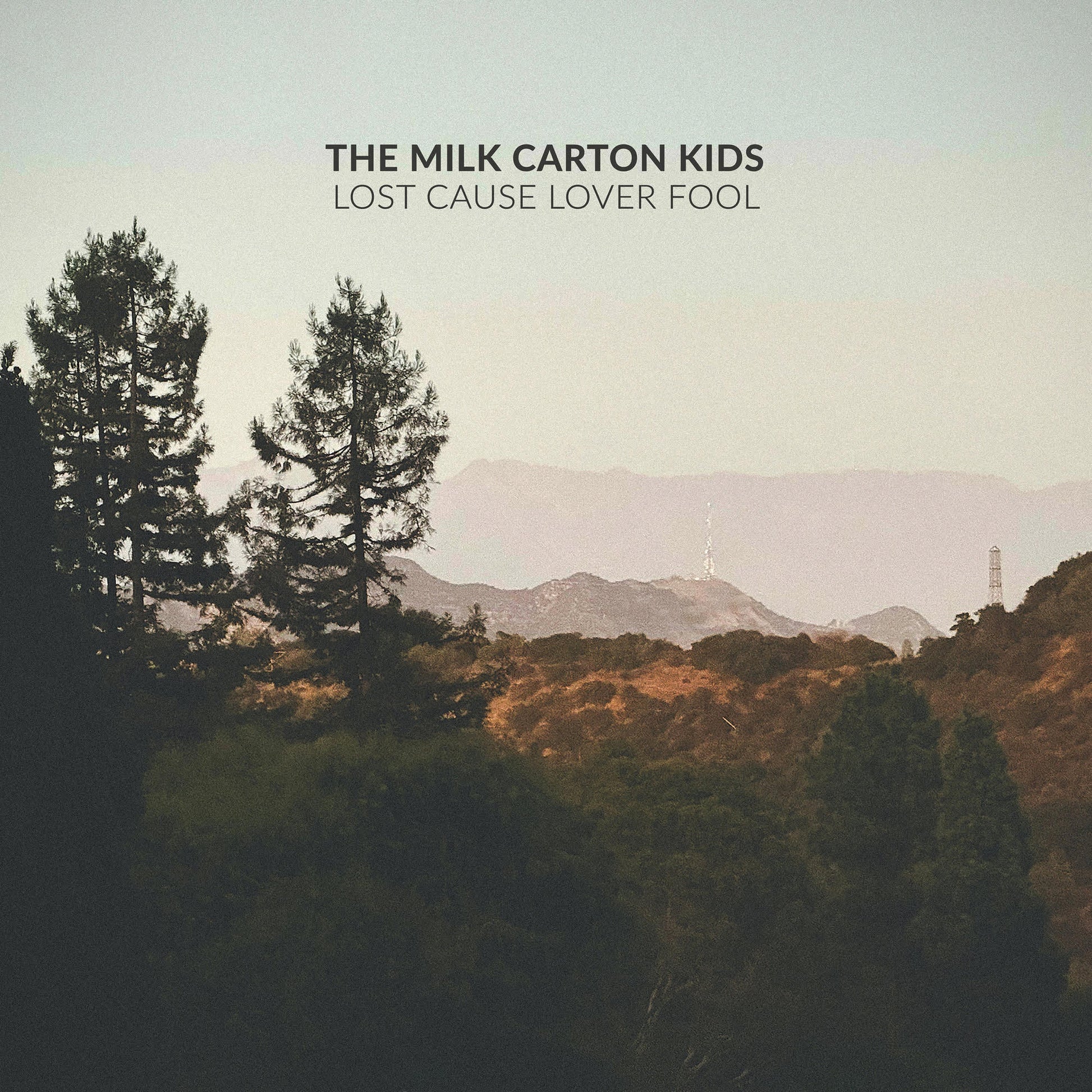 Lost Cause Lover Fool [Standard Black Vinyl]