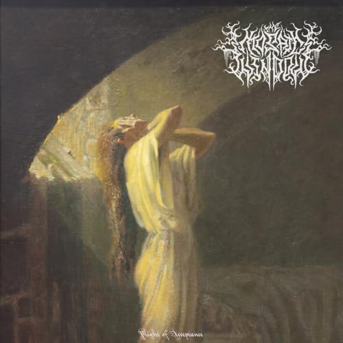 Plight of Acceptance [Random Color LP]