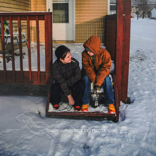 Happiness In Self Destruction - 10 Year Anniversary [2LP]