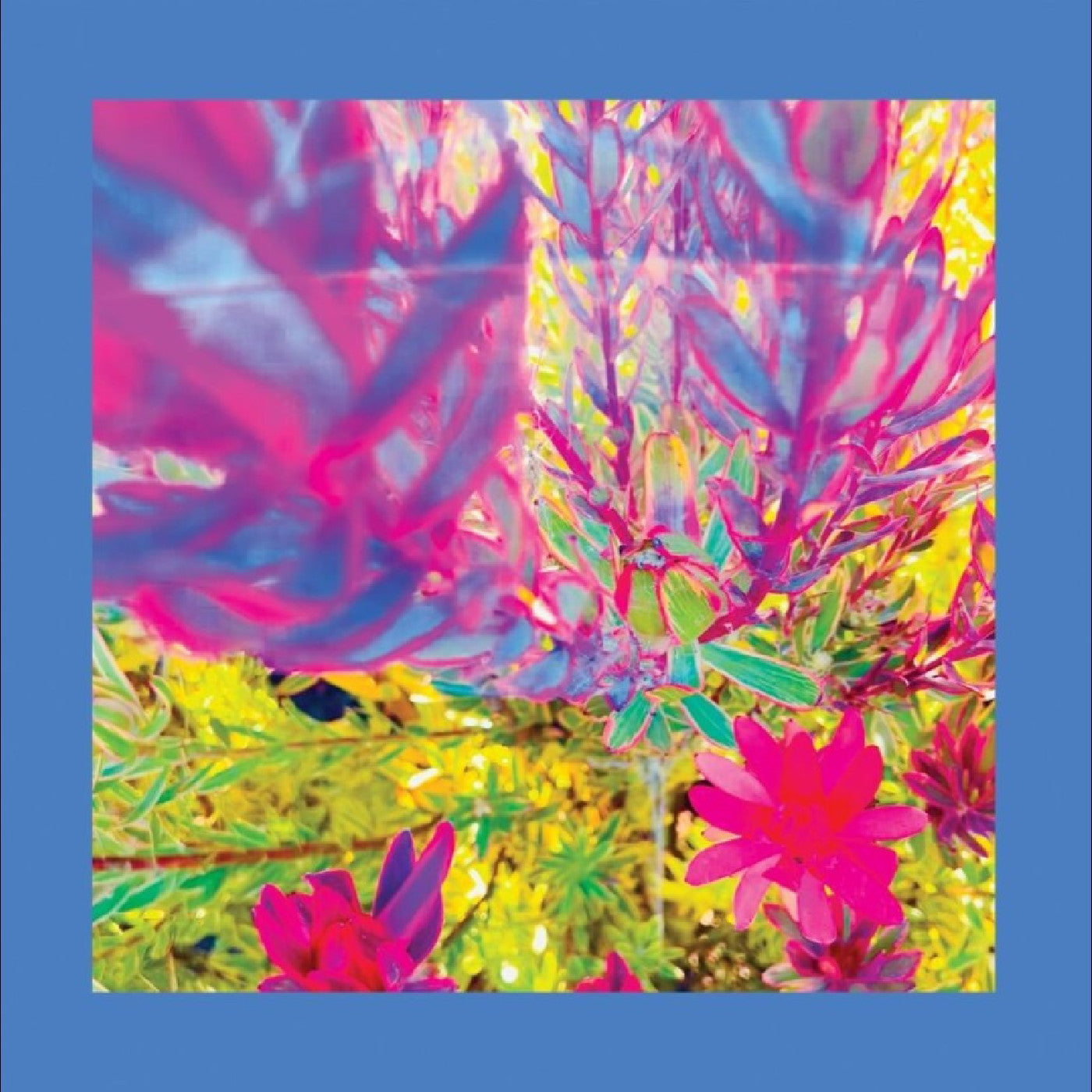 The Past Is A Garden I Never Fed (Sky Blue Vinyl)
