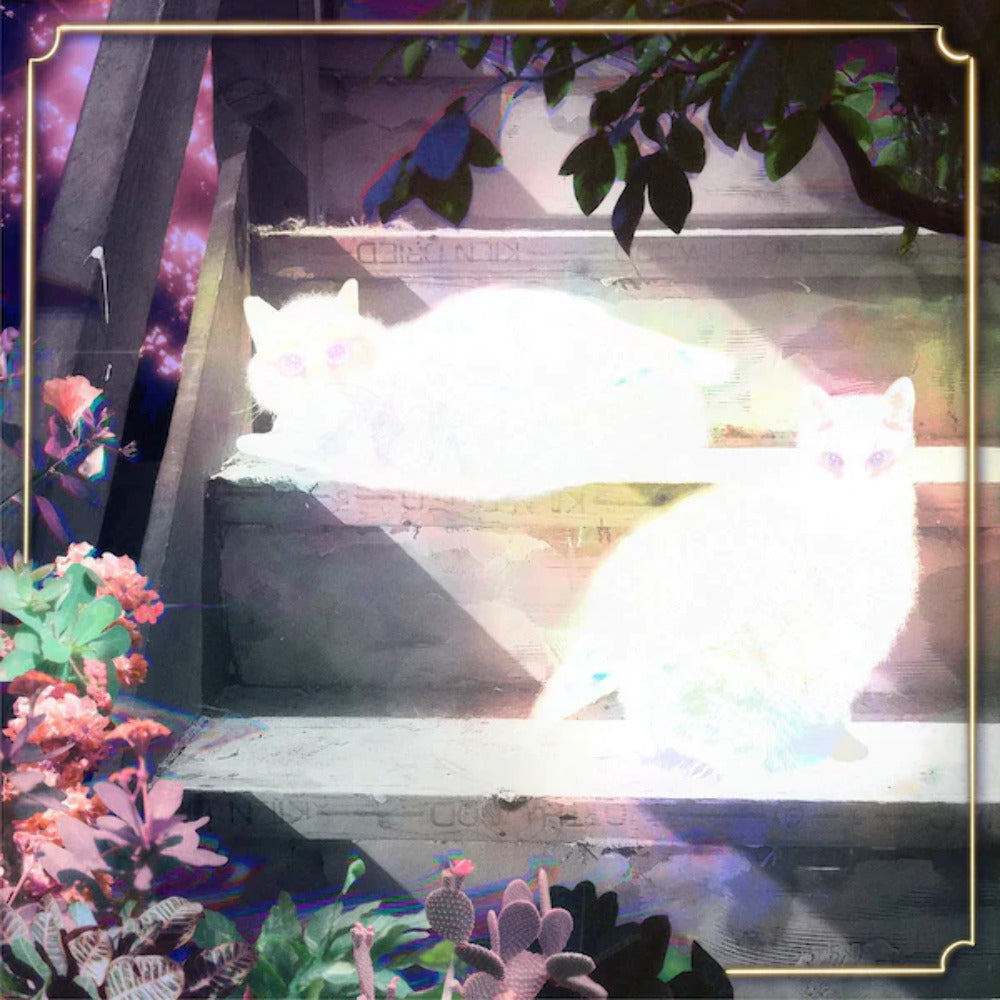 Retinal Bloom [LP]