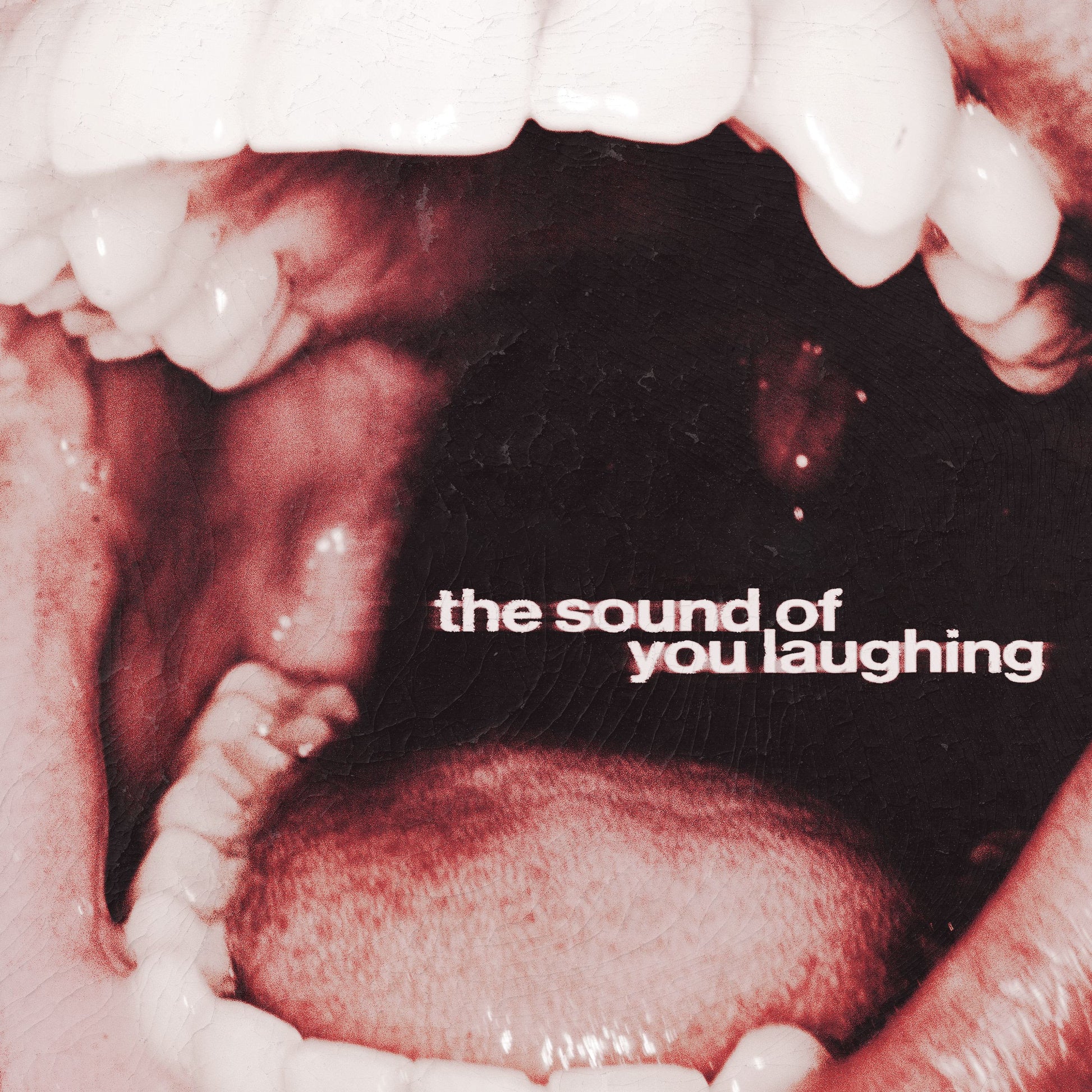 The Sound Of You Laughing [CD]