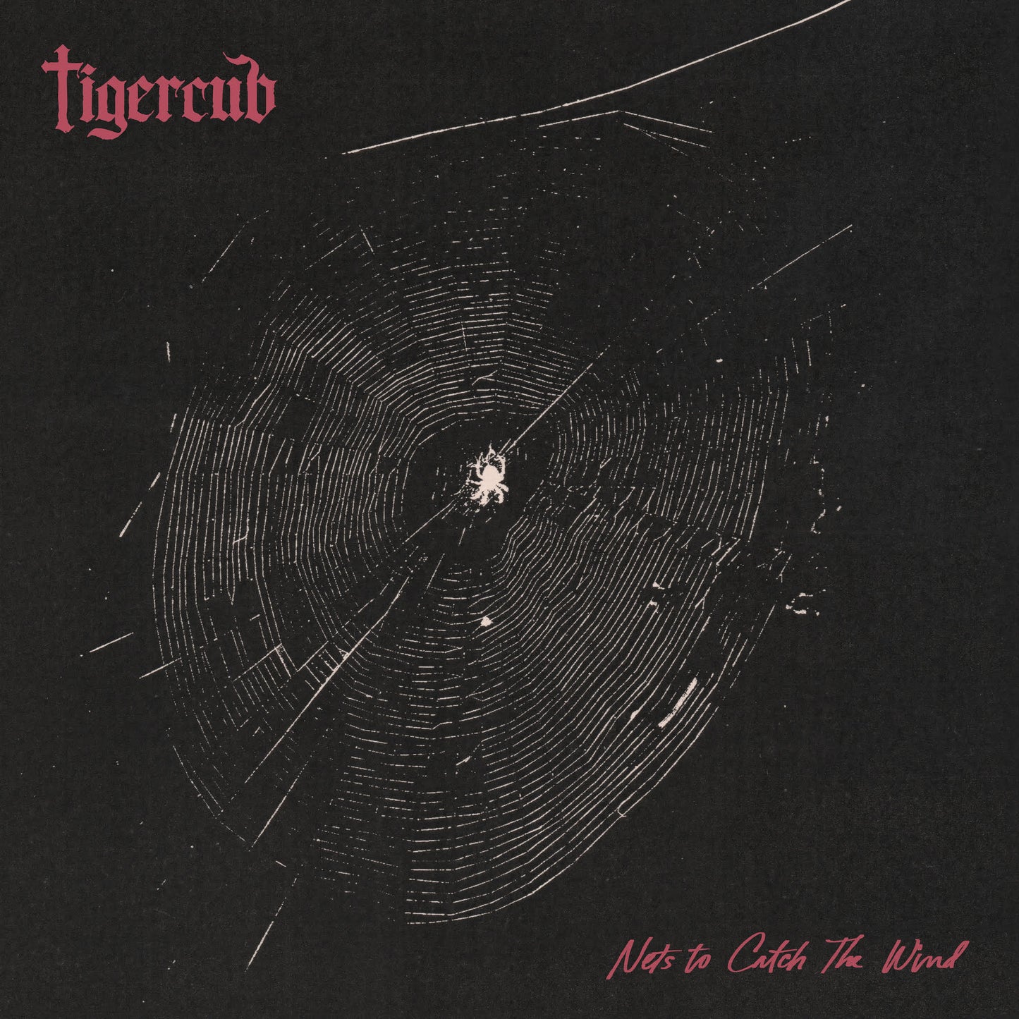 Nets To Catch The Wind [CD]