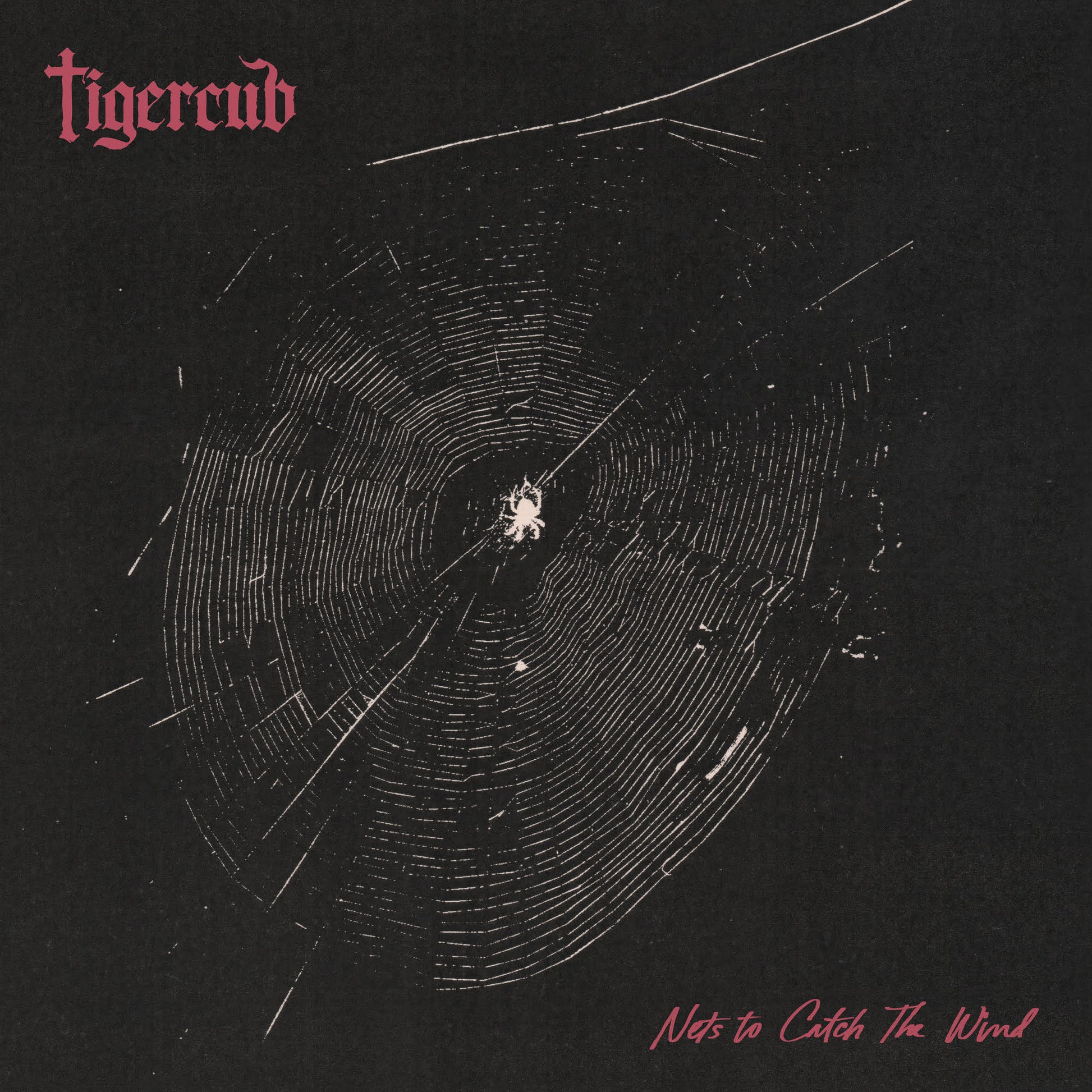 Nets To Catch The Wind (Indie Exclusive) [Graphite Vinyl]