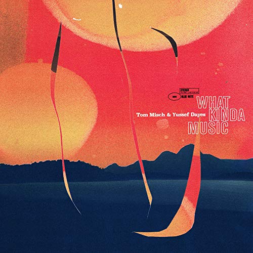 What Kinda Music [2 LP]
