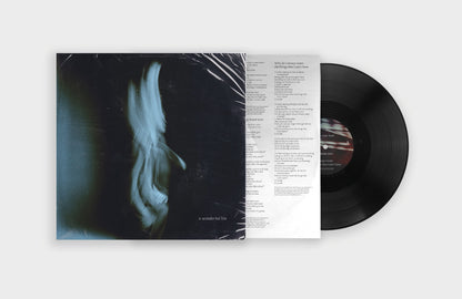 A Wonderful Life (Black Vinyl)