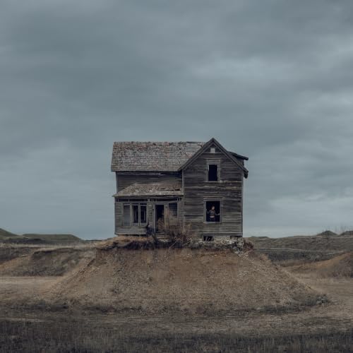 The Precariat [Black LP]