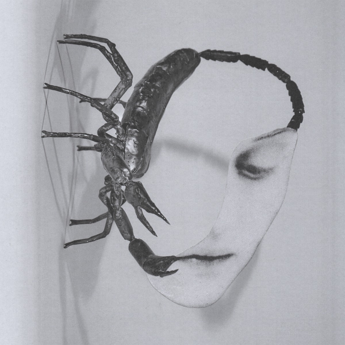 Touch [140 Gram Black Vinyl]