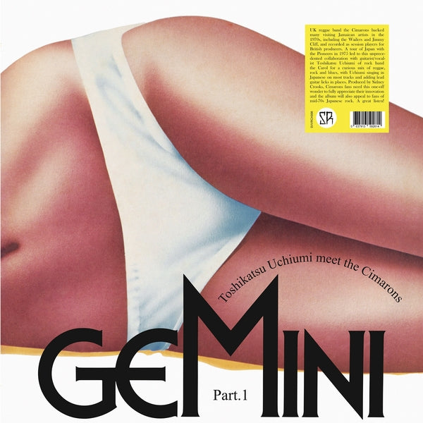 Gemini Part 1