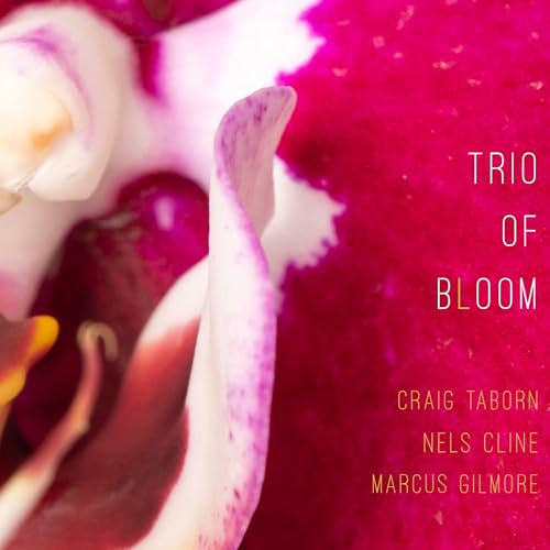 Trio Of Bloom