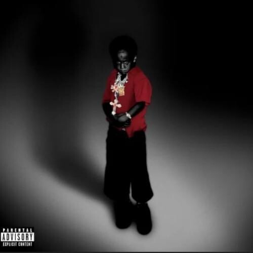 NDA [Red Vinyl]