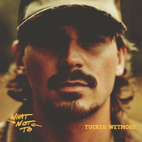 What Not To [Explicit Content] (2 Lp's)